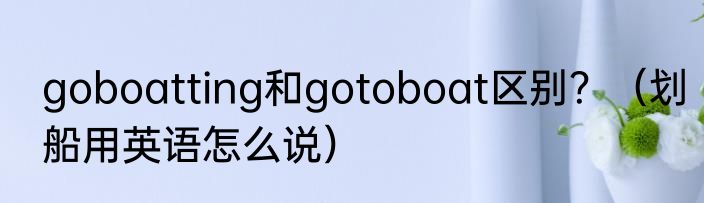 goboatting和gotoboat区别？（划船用英语怎么说）