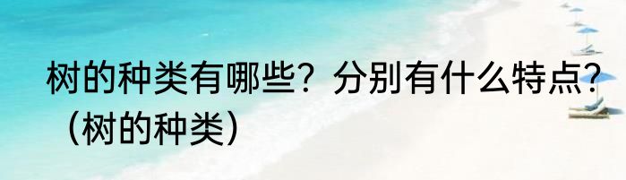 树的种类有哪些？分别有什么特点？（树的种类）
