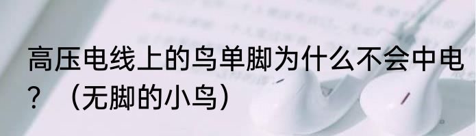 高压电线上的鸟单脚为什么不会中电？（无脚的小鸟）
