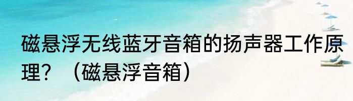 磁悬浮无线蓝牙音箱的扬声器工作原理？（磁悬浮音箱）