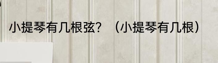 小提琴有几根弦？（小提琴有几根）