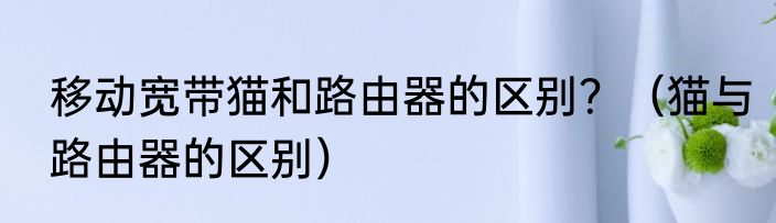 移动宽带猫和路由器的区别？（猫与路由器的区别）