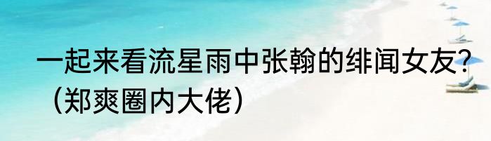 一起来看流星雨中张翰的绯闻女友？（郑爽圈内大佬）