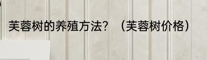 芙蓉树的养殖方法？（芙蓉树价格）