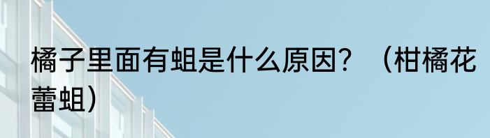 橘子里面有蛆是什么原因？（柑橘花蕾蛆）