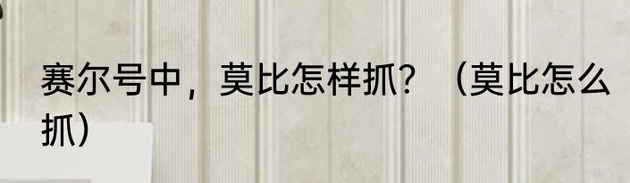 赛尔号中，莫比怎样抓？（莫比怎么抓）