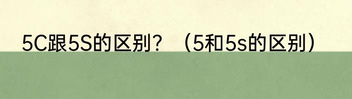 5C跟5S的区别？（5和5s的区别）