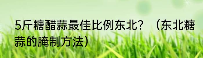 5斤糖醋蒜最佳比例东北？（东北糖蒜的腌制方法）