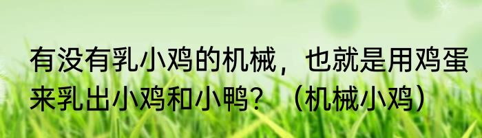 有没有乳小鸡的机械，也就是用鸡蛋来乳出小鸡和小鸭？（机械小鸡）