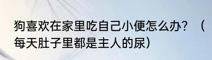 狗喜欢在家里吃自己小便怎么办？（每天肚子里都是主人的尿）