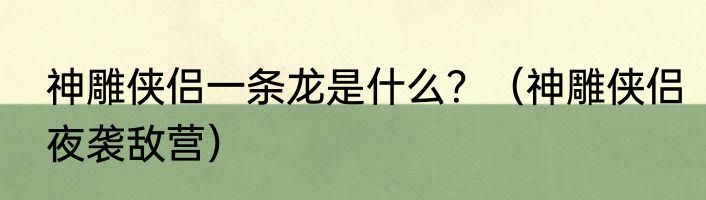 神雕侠侣一条龙是什么？（神雕侠侣夜袭敌营）
