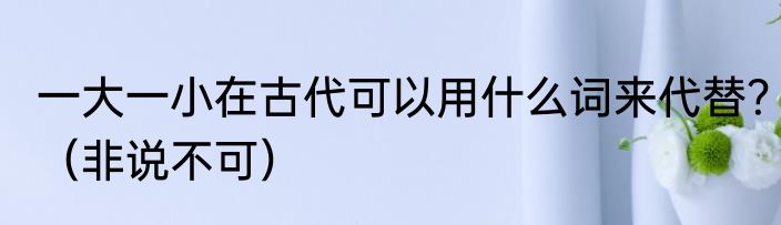 一大一小在古代可以用什么词来代替？（非说不可）