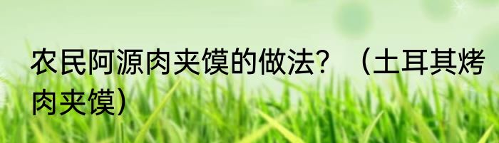 农民阿源肉夹馍的做法？（土耳其烤肉夹馍）