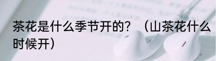 茶花是什么季节开的？（山茶花什么时候开）
