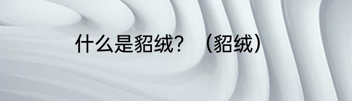 什么是貂绒？（貂绒）