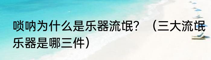 唢呐为什么是乐器流氓？（三大流氓乐器是哪三件）