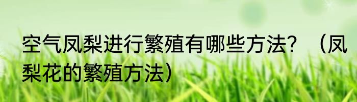 征途2玄兽卡怎么领取？（征途2玄兽在哪抓）