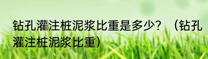 钻孔灌注桩泥浆比重是多少？（钻孔灌注桩泥浆比重）