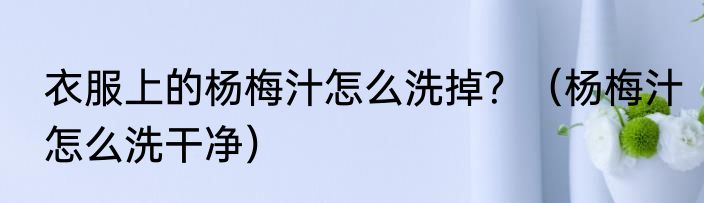 衣服上的杨梅汁怎么洗掉？（杨梅汁怎么洗干净）