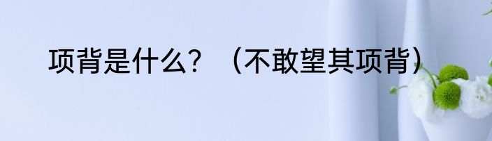 项背是什么？（不敢望其项背）