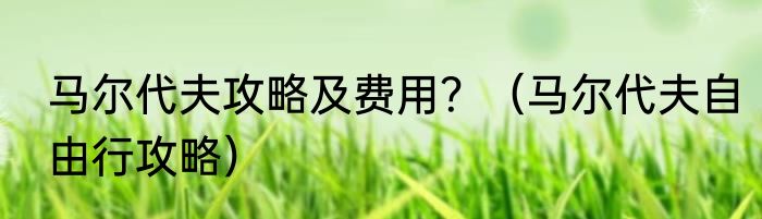 马尔代夫攻略及费用？（马尔代夫自由行攻略）