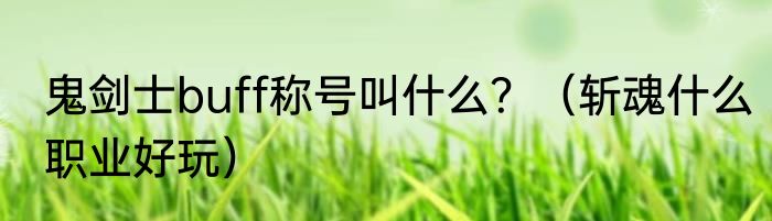 鬼剑士buff称号叫什么？（斩魂什么职业好玩）