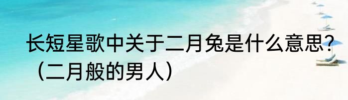 长短星歌中关于二月兔是什么意思？（二月般的男人）