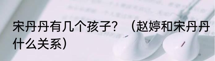 宋丹丹有几个孩子？（赵婷和宋丹丹什么关系）