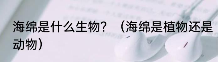海绵是什么生物？（海绵是植物还是动物）