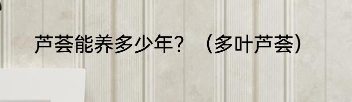 芦荟能养多少年？（多叶芦荟）