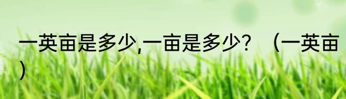 一英亩是多少,一亩是多少？（一英亩）