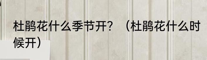 杜鹃花什么季节开？（杜鹃花什么时候开）