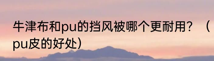 牛津布和pu的挡风被哪个更耐用？（pu皮的好处）