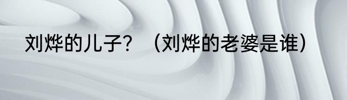 刘烨的儿子？（刘烨的老婆是谁）