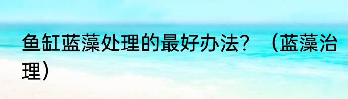 鱼缸蓝藻处理的最好办法？（蓝藻治理）