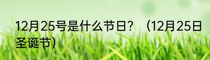 12月25号是什么节日？（12月25日圣诞节）