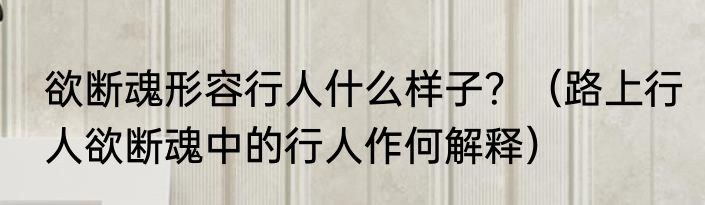 欲断魂形容行人什么样子？（路上行人欲断魂中的行人作何解释）