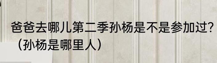 爸爸去哪儿第二季孙杨是不是参加过？（孙杨是哪里人）