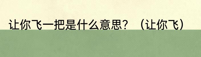 让你飞一把是什么意思？（让你飞）