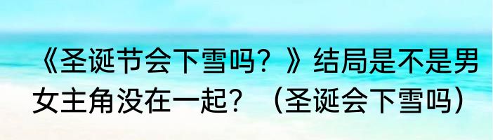《圣诞节会下雪吗？》结局是不是男女主角没在一起？（圣诞会下雪吗）