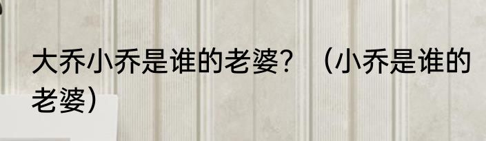 大乔小乔是谁的老婆？（小乔是谁的老婆）