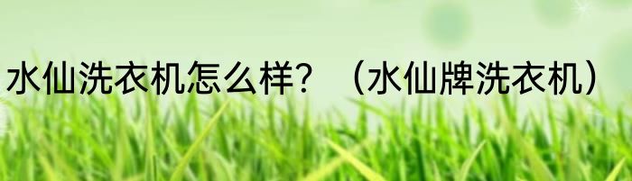 水仙洗衣机怎么样？（水仙牌洗衣机）