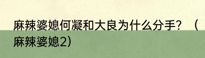 麻辣婆媳何凝和大良为什么分手？（麻辣婆媳2）