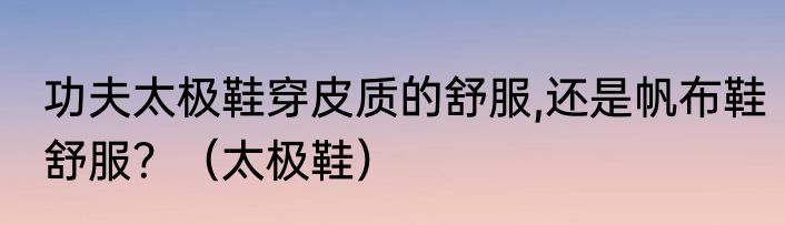 功夫太极鞋穿皮质的舒服,还是帆布鞋舒服？（太极鞋）