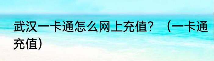 武汉一卡通怎么网上充值？（一卡通充值）