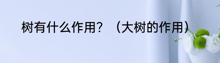 树有什么作用？（大树的作用）
