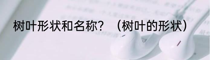 树叶形状和名称？（树叶的形状）