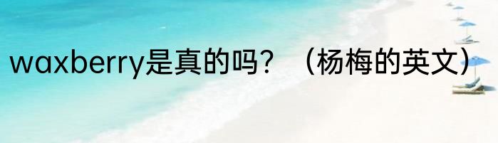 waxberry是真的吗？（杨梅的英文）