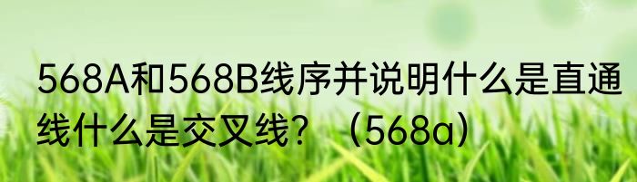 568A和568B线序并说明什么是直通线什么是交叉线？（568a）