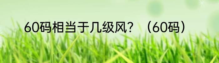 60码相当于几级风？（60码）